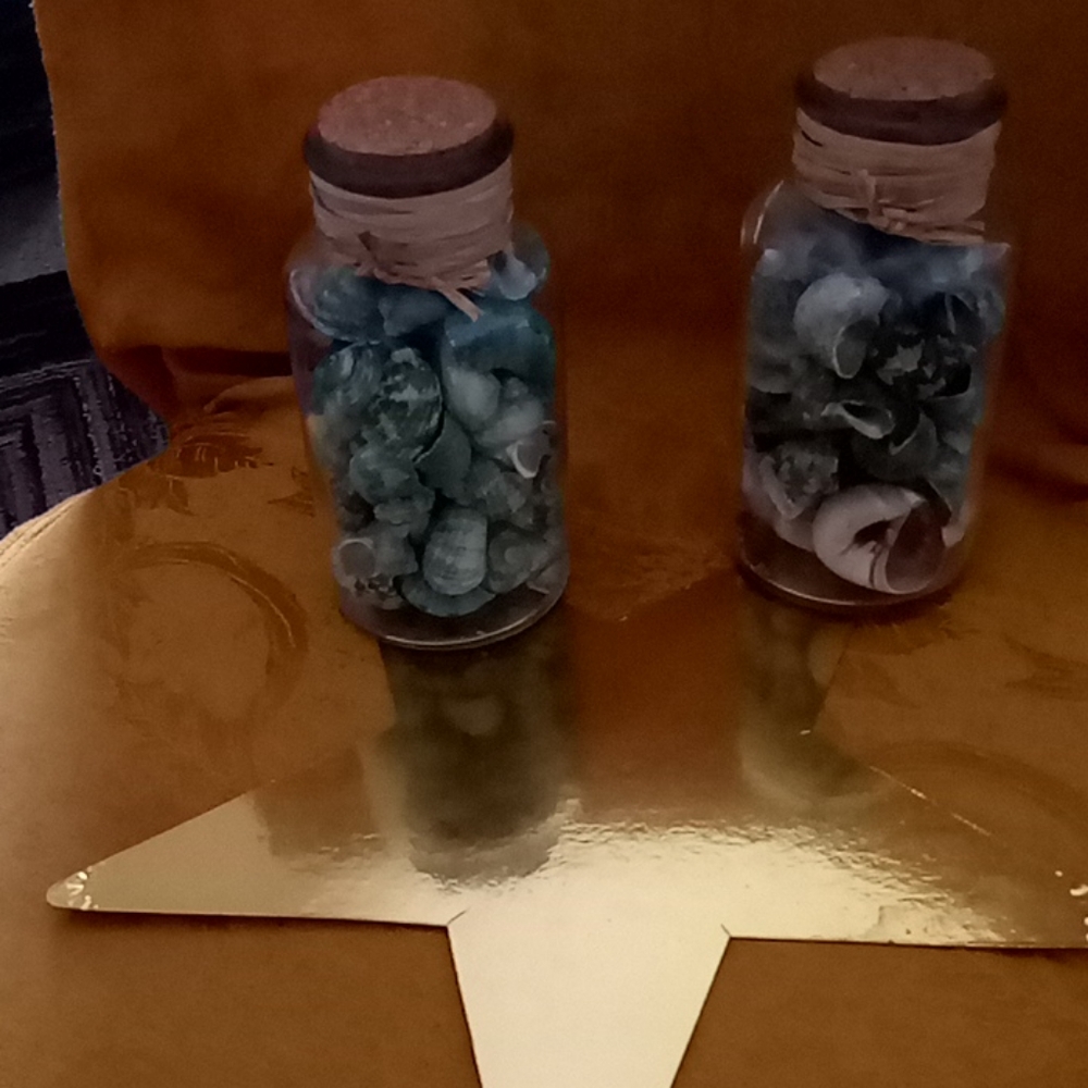 Seashell ~ jar~beautifully  decoration